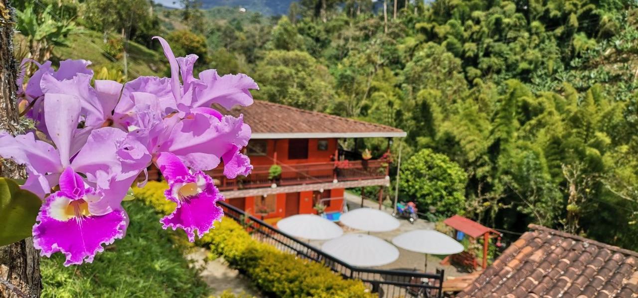 Hotel Orillas Del Pizano Jardín Zewnętrze zdjęcie
