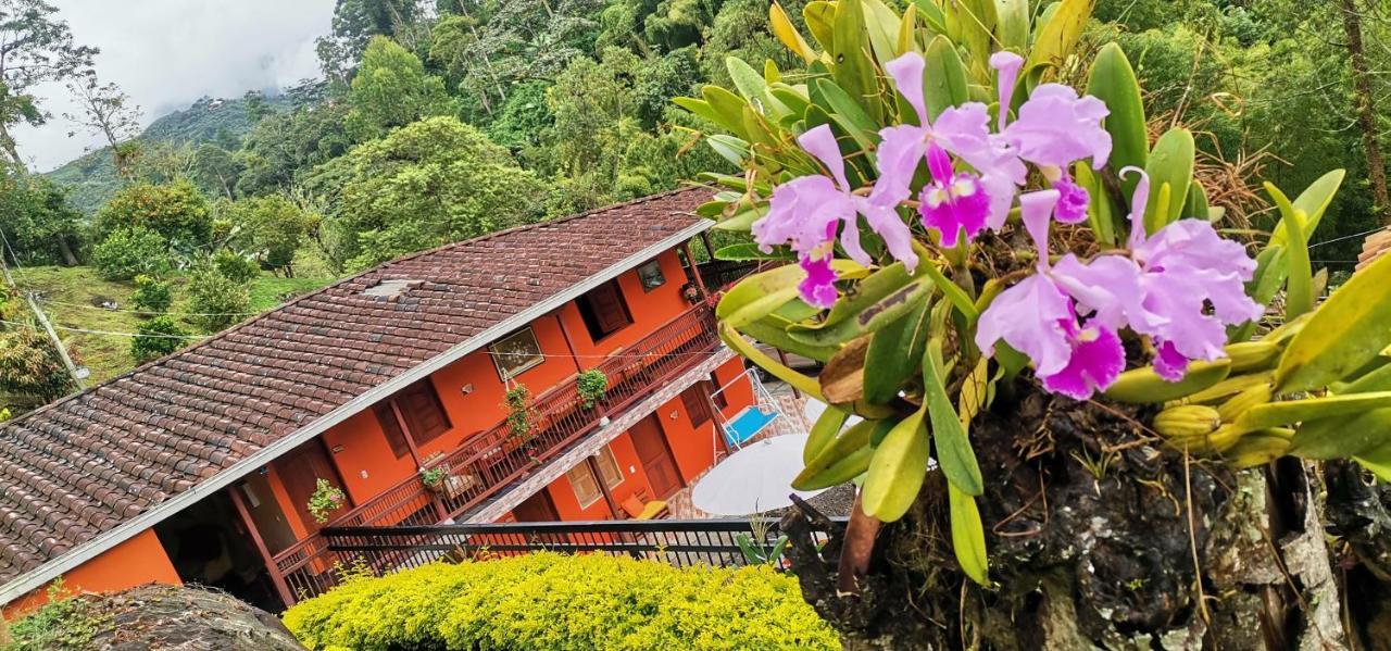 Hotel Orillas Del Pizano Jardín Zewnętrze zdjęcie