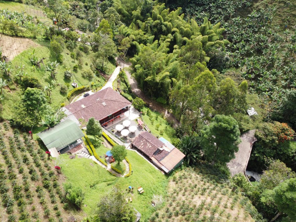 Hotel Orillas Del Pizano Jardín Zewnętrze zdjęcie