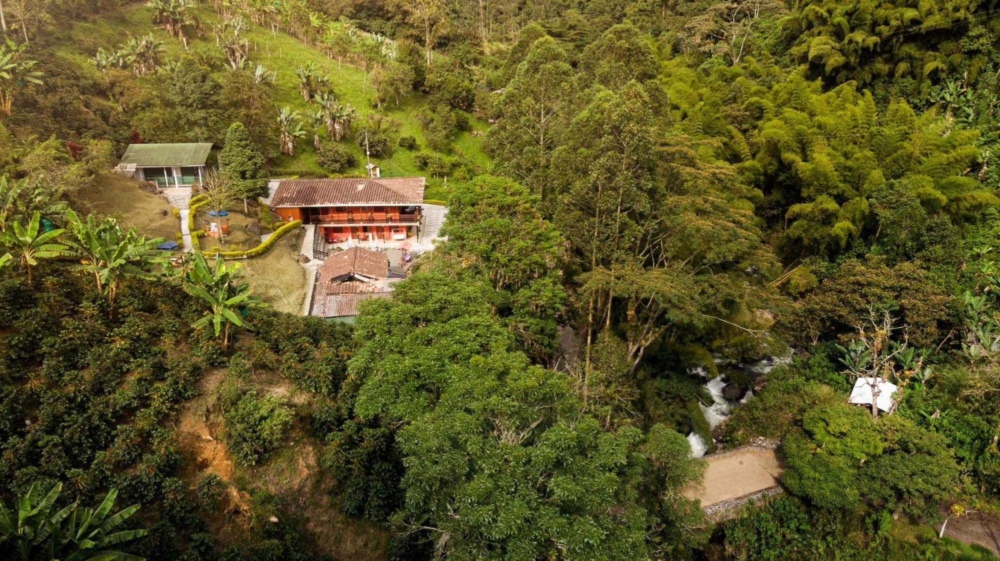 Hotel Orillas Del Pizano Jardín Zewnętrze zdjęcie