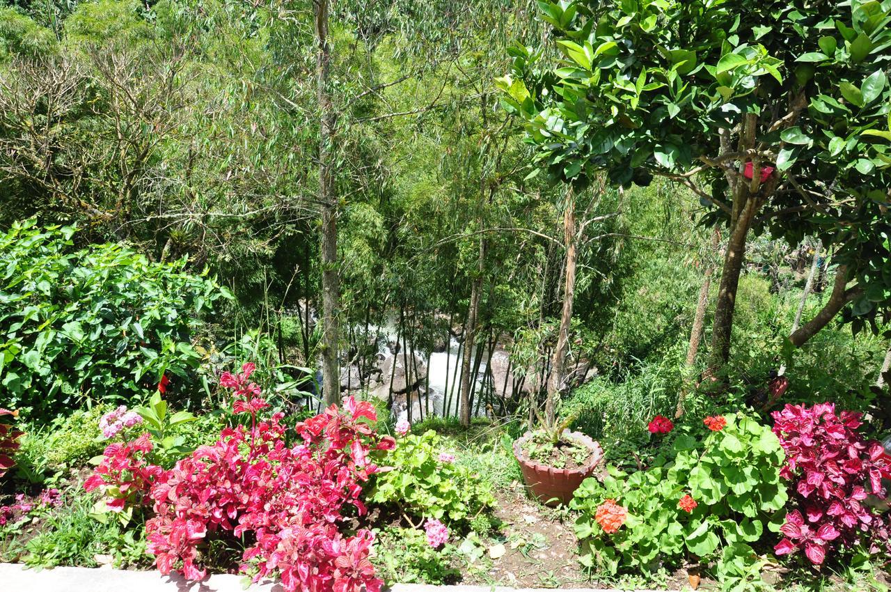 Hotel Orillas Del Pizano Jardín Zewnętrze zdjęcie